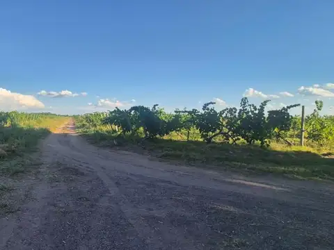 Finca 57ha. Palmira - San Martín