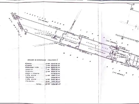Carril San Pedro S/Nº