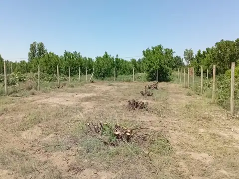 Terreno en Venta en Tunuyan, USD 16.000