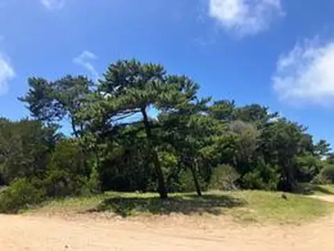 Terreno en Venta en Villa Gesell, USD 250.000
