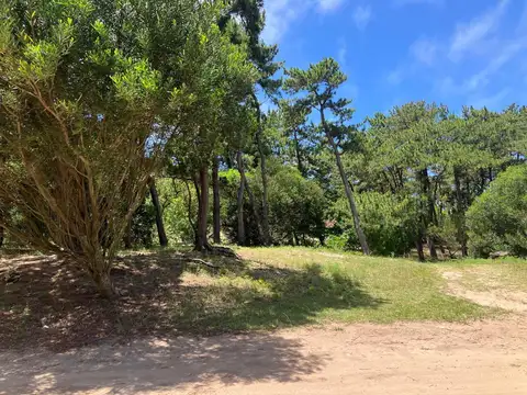 Mar Azul Calle 35 y 36