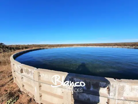 Campo  en Venta en La Reforma, La Pampa - De 15.000 Hectáreas!