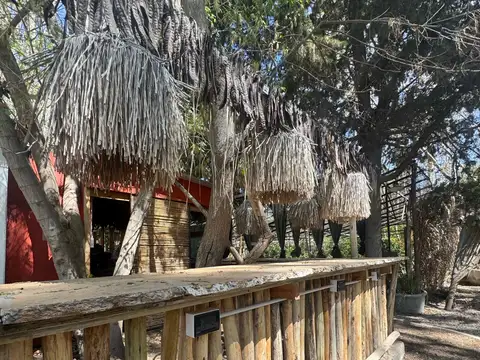 Local en Alquiler en Chacras de Coria, $ 1.500.000
