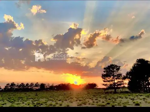 PROPIEDADES RURALES - CHACRA - PUEBLO EDÉN, PUNTA DEL ESTE
