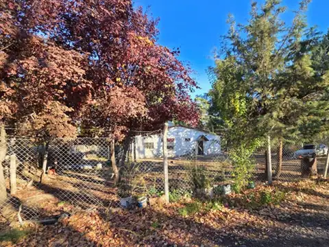 VENTA DE CHACRA CON ALMENDROS 42 HA - SGTO. VIDAL