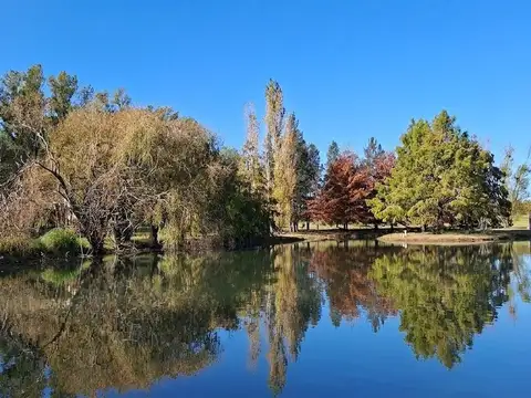 Casa de 3 dormitorios en alquiler temporario en espectacular campo a 14 km. de Capilla del Señor