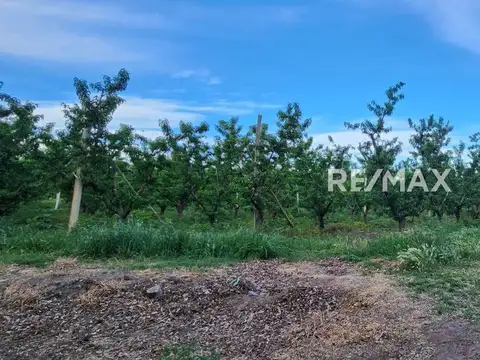 CHACRA EN VENTA 5 Has CON SERVICIO Y COSTA DE RIO