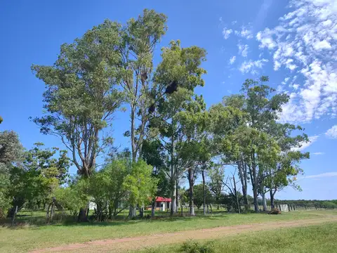 Excelente Campo con casa de campo para fin de semana en venta en Villaguay