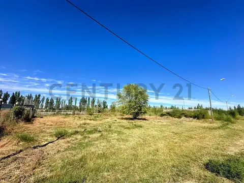 Puerte Rico 2300