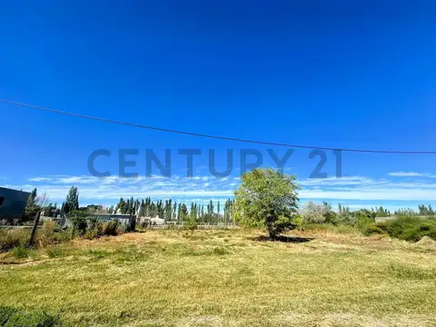 Terreno de 370 m² en venta – Stefenelli, General Roca | Posibilidad de comprar d