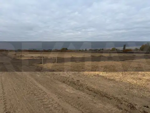 Terreno en Venta en Padre Alejandro Stefanelli, USD 15.000