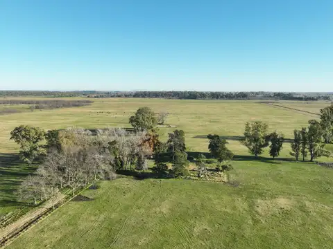 Campo en Venta de 100  ha