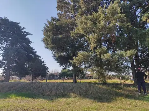 Terreno en Venta 15  mts Fondo