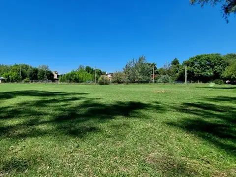 Terreno en Venta 31  mts Fondo