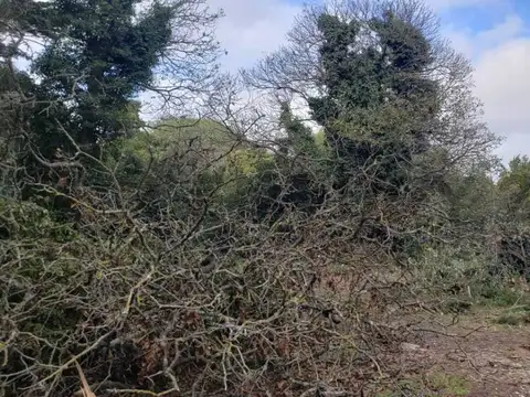 Terreno en Venta en Mar Del Plata, USD 30.000