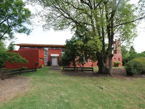 Doradillo 700