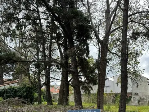 Terreno en Venta de 300,0 m2