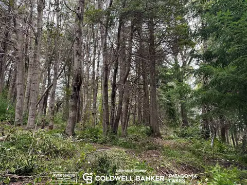 Blvd Quetrihue y Blvd Amancay