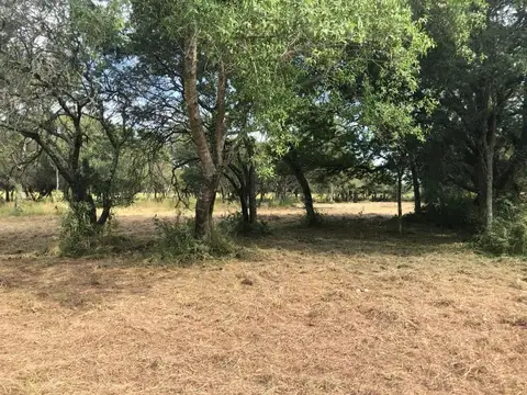 9,5 Hectareas Sobre Ruta 11 Margarita BelÉn