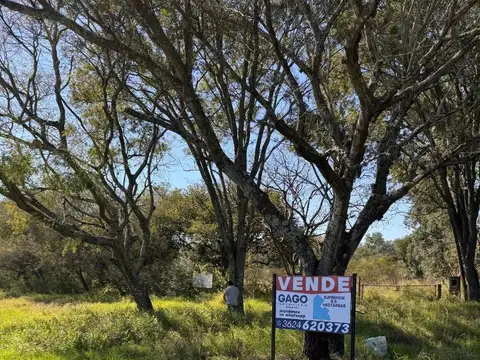 9 HECTAREAS SOBRE RUTA - Ruta 11 km 1023