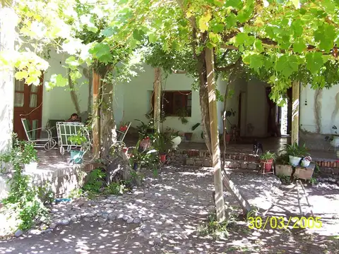 FINCA EN VENTA VALLE DE UCO -VISTAFLORES- Y PROYECTO INMOBILIARIO CON TOUR VIRTUAL