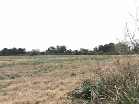 Terreno en Venta en Zarate, USD 45.000