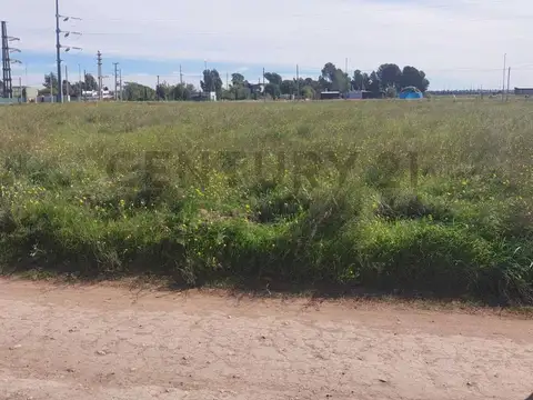 Terreno en Venta 17  mts Frente