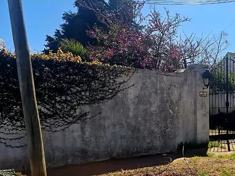 Carlos Rippamonti 100