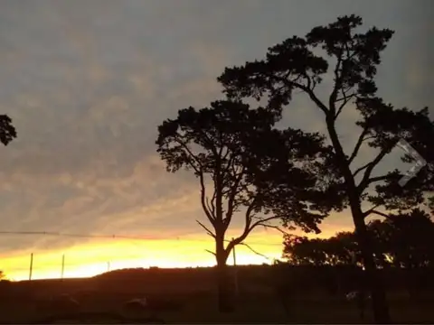 Camino J. Bordeu 3500