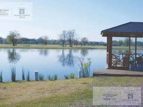Lote a laguna - Elcano