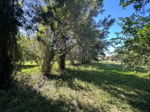 Terreno en Venta de 3250,0 m2