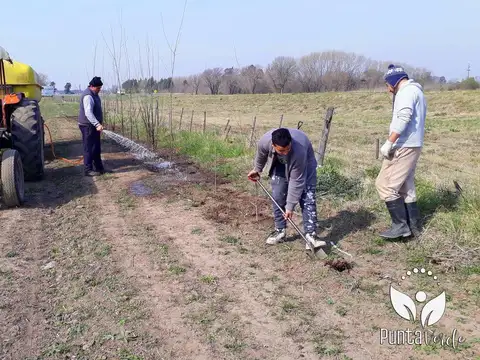 Terreno - Lucio V Lopez - Estrenar