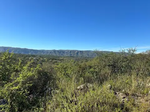 Terreno en Venta de 1177,0 m2