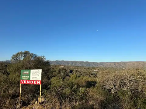 Tierras del Sauce 100