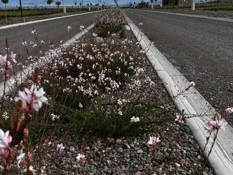 Lotes Premium en Venta en Tupungato Valley – Valle de Uco