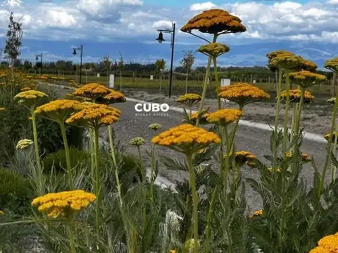 Terreno en Venta en Tupungato, USD 30.000