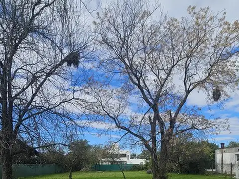 Bella Vista, X5000 Córdoba, Córdoba Province, Argentina