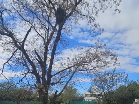 Terreno en Venta en Bela Vista, USD 44.900