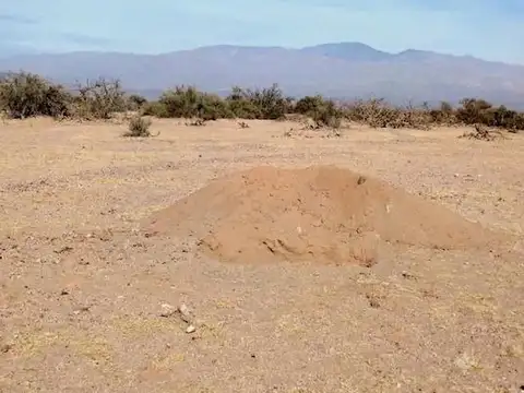Oportunidad: 2.700 ha con agua subterránea, listas para un proyecto agrícola de gran escala