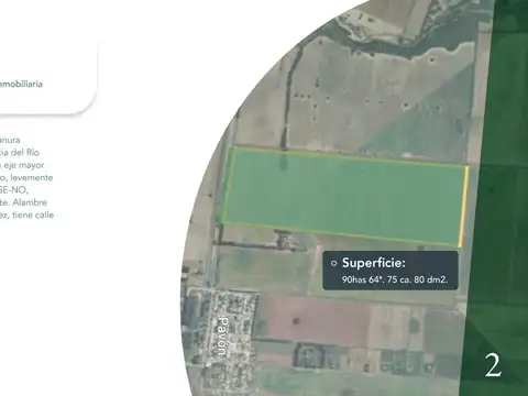 90 HAS Pavón, Santa fe.