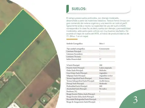 Campo en  Pavón, Santa fe.