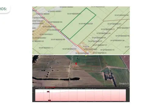 90 HAS Pavón, Santa fe.