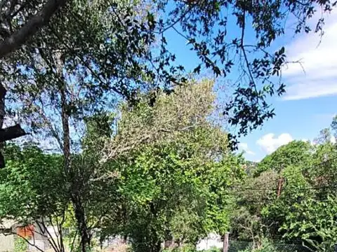 Francisco Ramirez