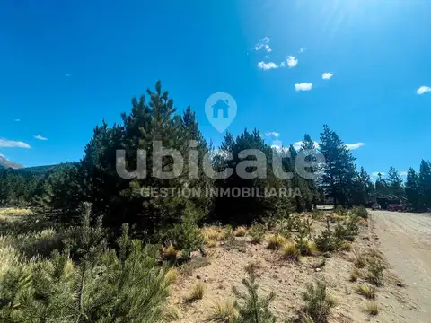 Terreno en Venta 53  mts Fondo