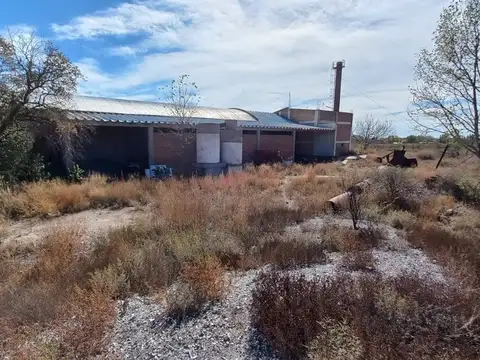 VENTA 7 HECTAREAS 7 GALPONES PAREDITAS SAN CARLOS