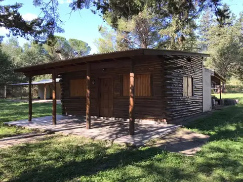 Los Piquilllines 100