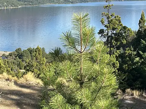 Mza XVI Lago MELIQUINA