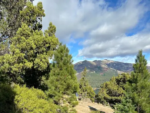 Terreno en Venta 20  mts Fondo