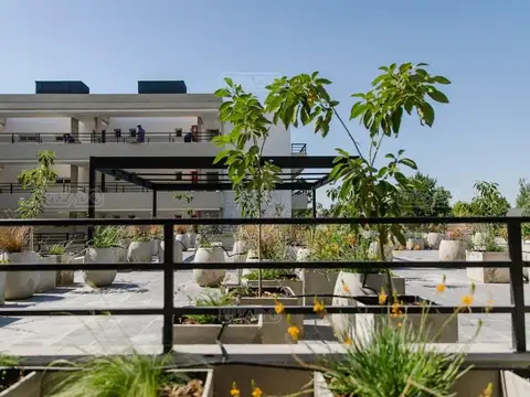 Joaquin Victor Gonzalez 500