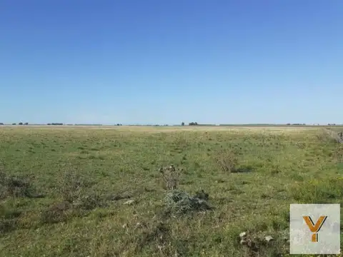 Campo en venta - 33.800.000Mts2 - San Cayetano